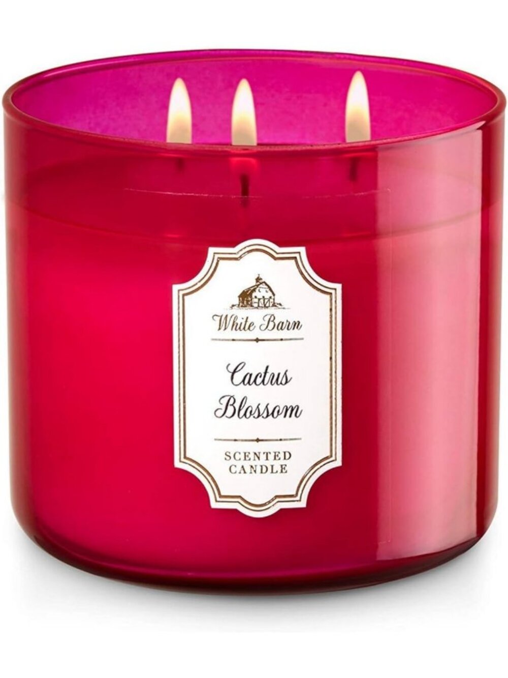 3-Wick White Candle, 14.5 oz - Cactus Blossom Scented Home Decor Gift